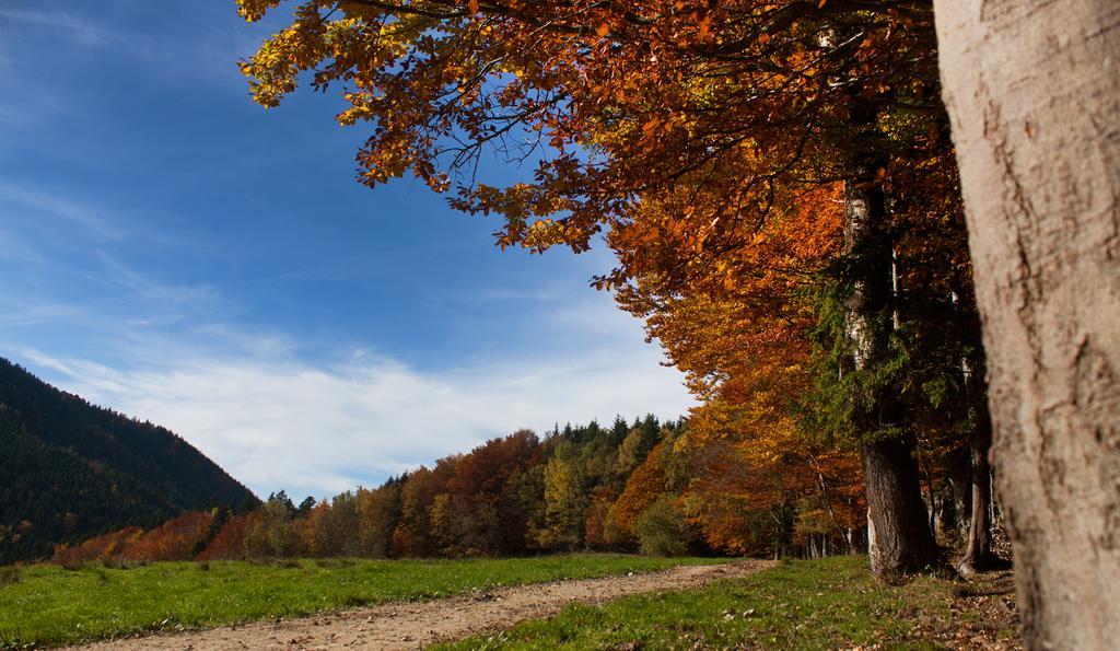 Gasthof Fischerstueberl Rottau Kültér fotó